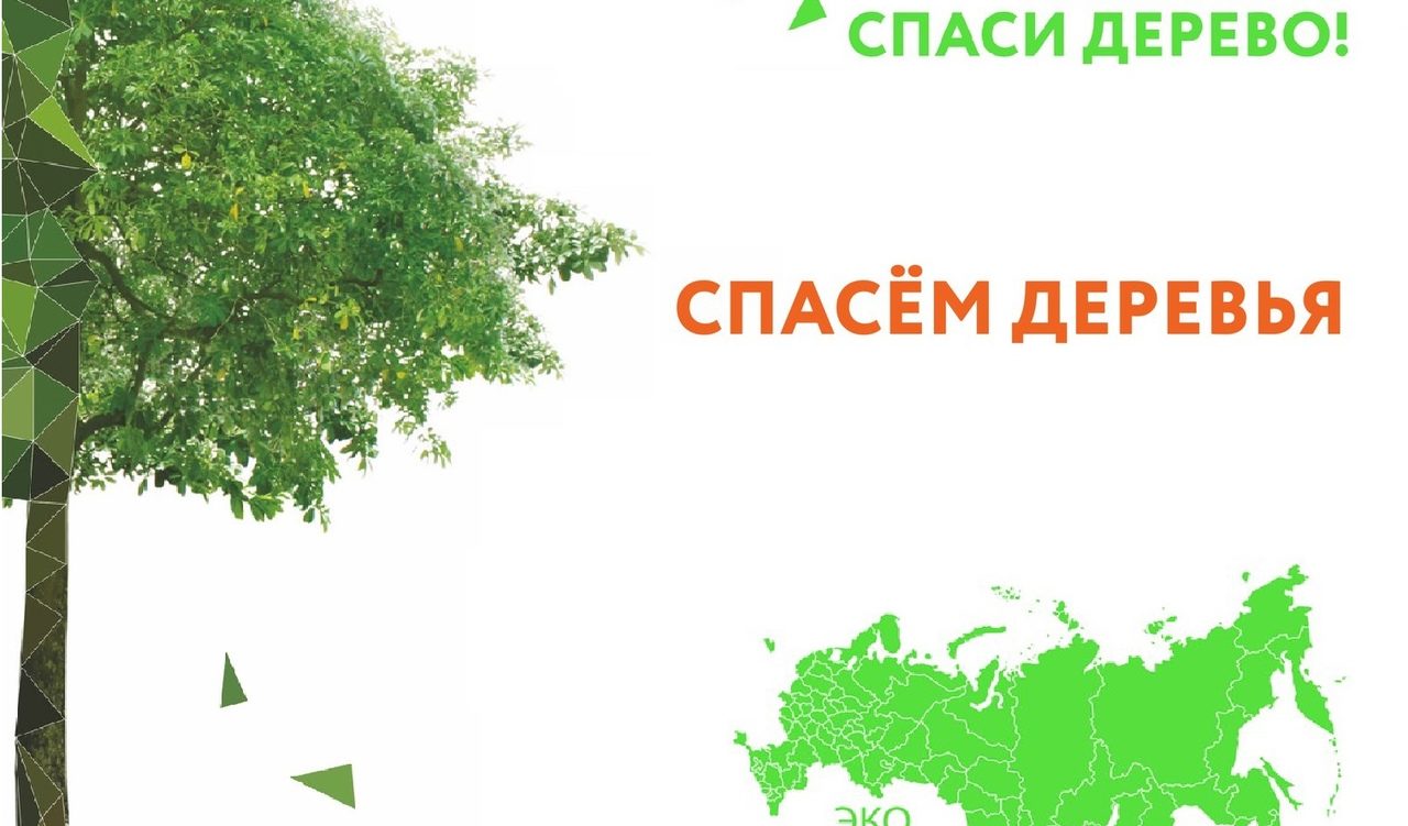 В Краснодарском крае вновь стартует Всероссийский экомарафон ПЕРЕРАБОТКА «Сдай макулатуру – спаси дерево»